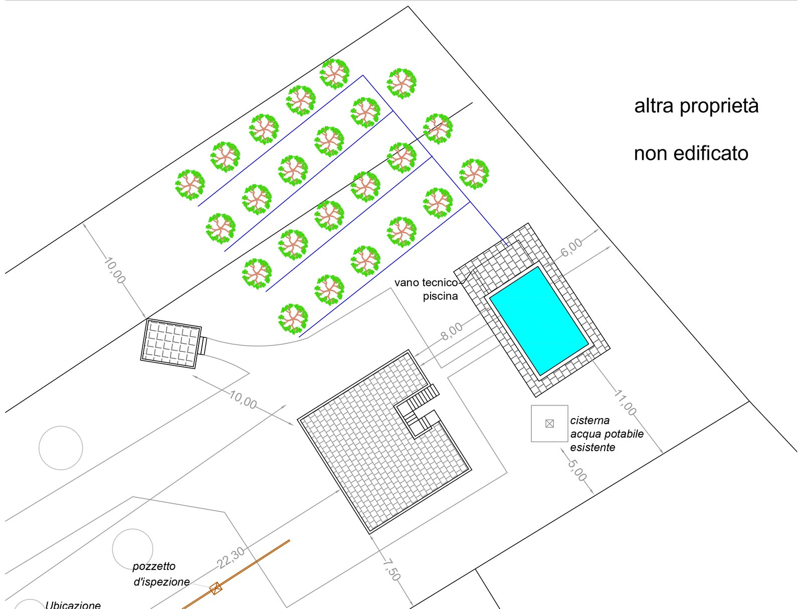 Planimetria generale con inserimento della piscina nel lotto